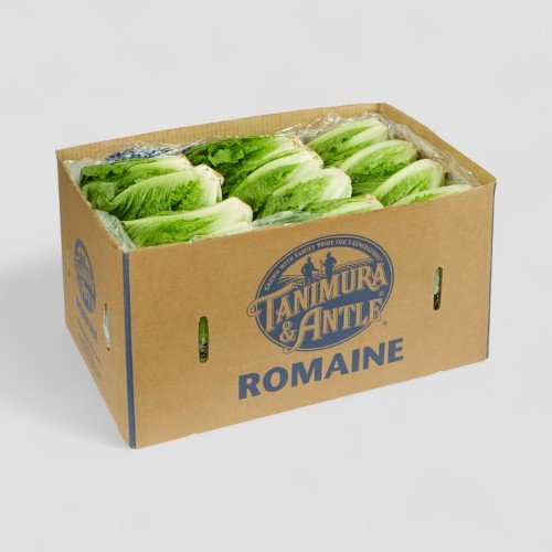 Romaine Lettuce - 24 ct