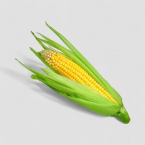 Sweet Corn - 48 ct