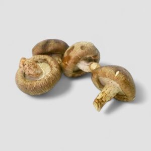 Shiitake Mushrooms, #1, Large